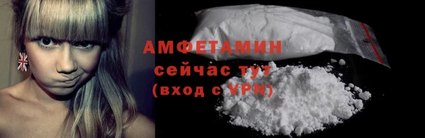 молекула духа Пересвет